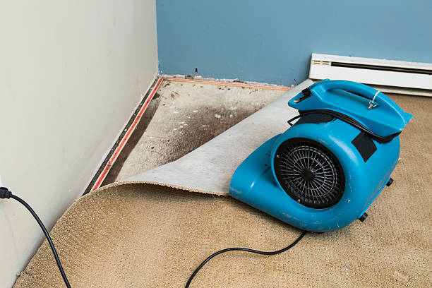 Trusted Water Damage Restoration in Mcloud, OK | Fast, Reliable, and Ready to Assist You